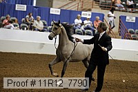 11r12_7790 proof