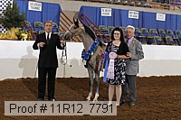 11r12_7791 proof
