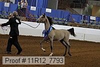 11r12_7793 proof