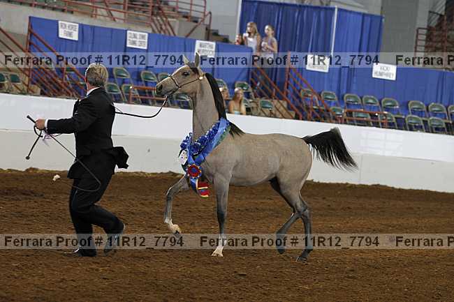 Proof 11r12_7794