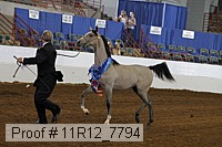11r12_7794 proof