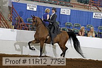 11r12_7795 proof