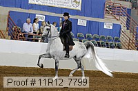 11r12_7799 proof