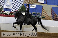 11r12_7800 proof