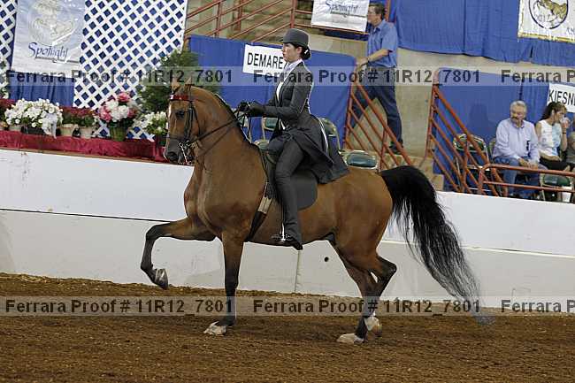 Proof 11r12_7801