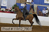 11r12_7801 proof