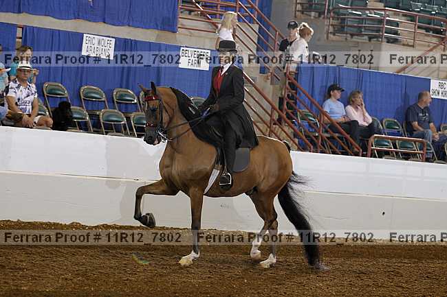 Proof 11r12_7802
