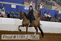 11r12_7802 proof