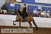 11r12_7803 proof