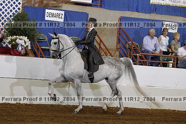Proof 11r12_7804