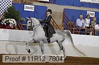 11r12_7804 proof