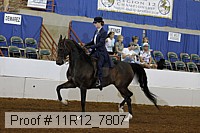 11r12_7807 proof