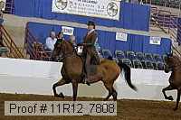 11r12_7808 proof