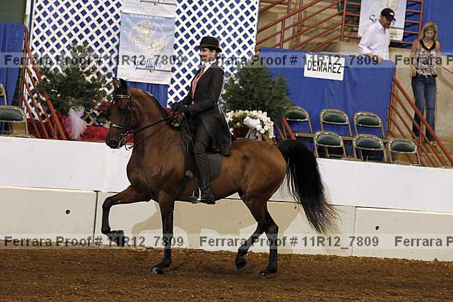 Proof 11r12_7809
