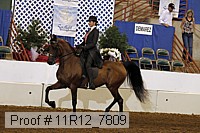 11r12_7809 proof