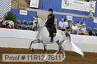 11r12_7811 proof