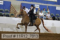 11r12_7813 proof