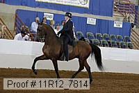 11r12_7814 proof