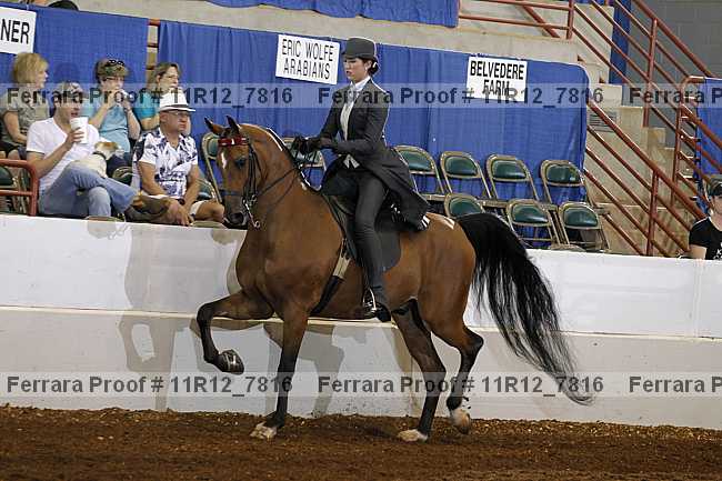 Proof 11r12_7816