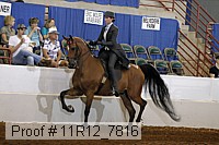 11r12_7816 proof