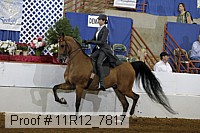 11r12_7817 proof