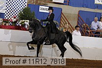 11r12_7818 proof