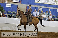 11r12_7822 proof
