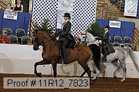 11r12_7823 proof