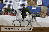 11r12_7824 proof