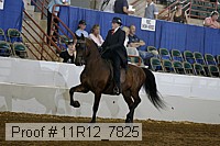 11r12_7825 proof