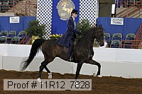 11r12_7828 proof