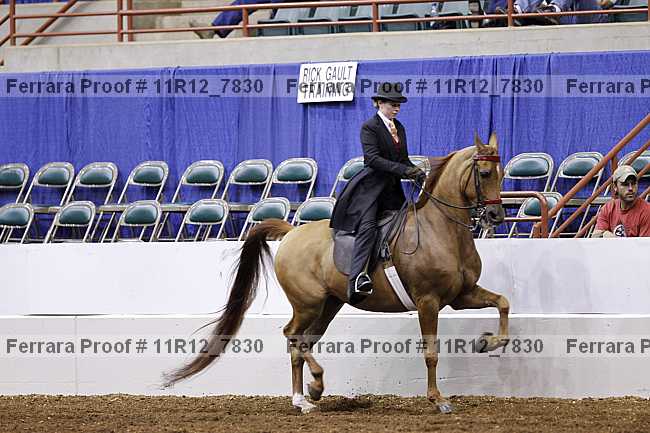Proof 11r12_7830
