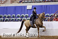 11r12_7830 proof