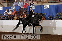 11r12_7831 proof