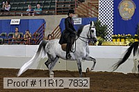 11r12_7832 proof