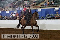 11r12_7833 proof