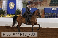 11r12_7834 proof