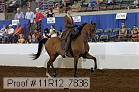 11r12_7836 proof