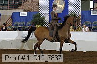 11r12_7837 proof