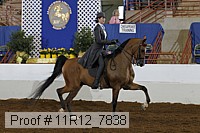 11r12_7838 proof