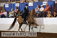 11r12_7839 proof