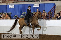 11r12_7840 proof