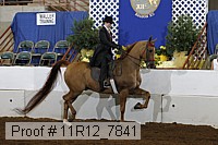 11r12_7841 proof