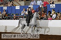 11r12_7842 proof