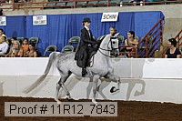 11r12_7843 proof