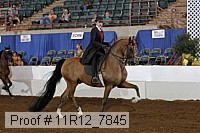 11r12_7845 proof