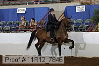 11r12_7846 proof