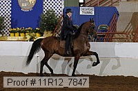 11r12_7847 proof