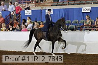 11r12_7848 proof