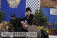11r12_7854 proof